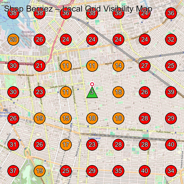 Shop Berriez GeoGrid visibility map for Plus Size Clothing Store in 4214 12th Ave